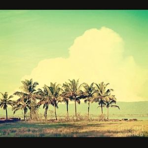 Bundle for karconsigns♡